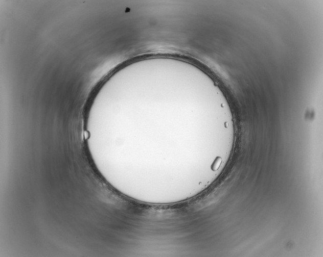 X0000090461269200708102103