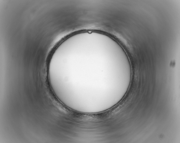 X0000090461270200708102103