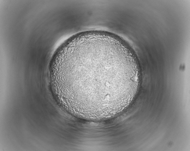 X0000090461271200708102103