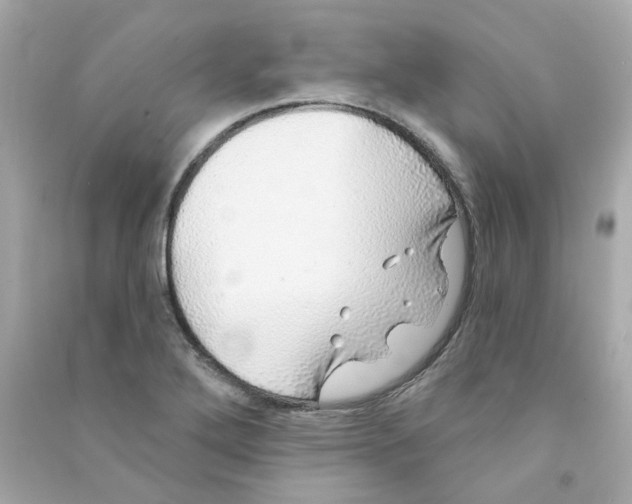 X0000090461272200708102103