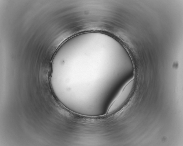 X0000090461273200708102103