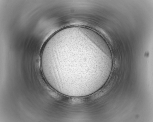 X0000090461274200708102103