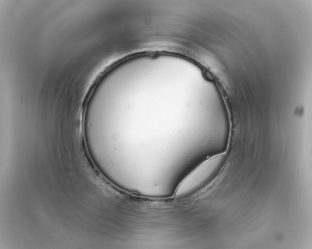 X0000090461275200708102103