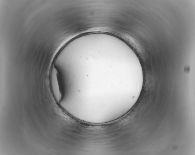 X0000090461276200708102103