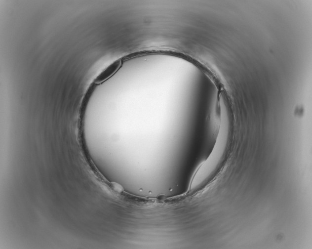 X0000090461277200708102103
