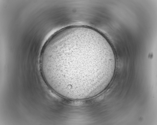 X0000090461278200708102103