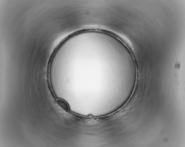 X0000090461279200708102103