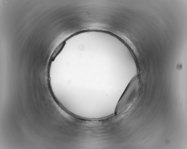 X0000090461285200708102103