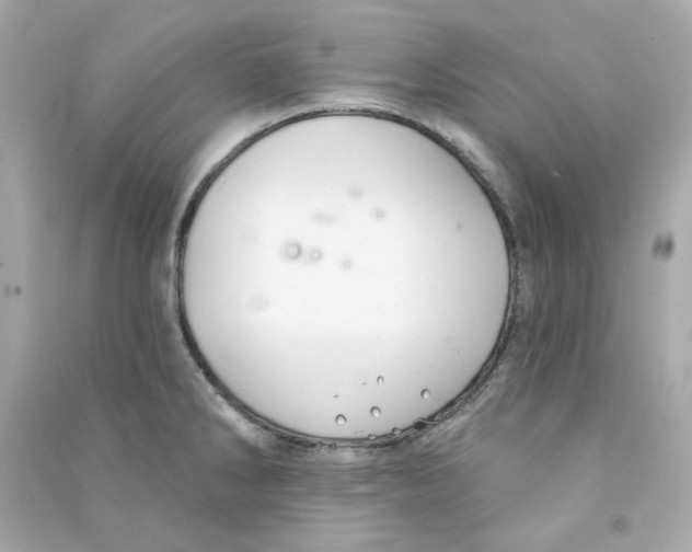 X0000090461286200708102103