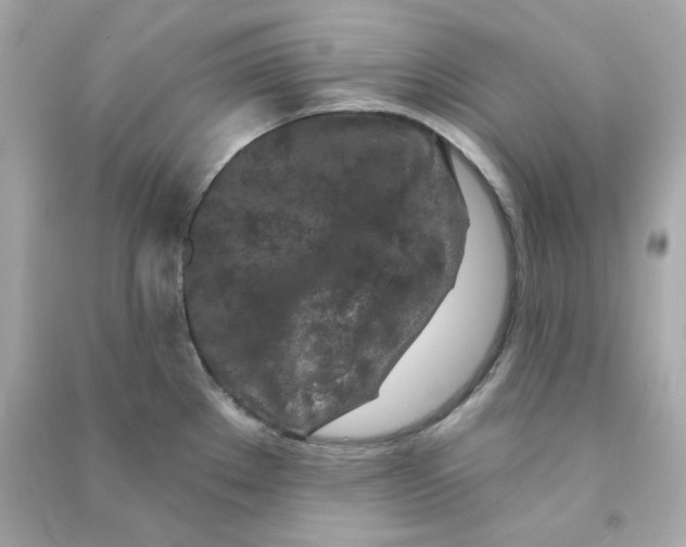 X0000090461289200708102103
