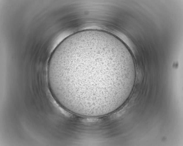X0000090461290200708102103