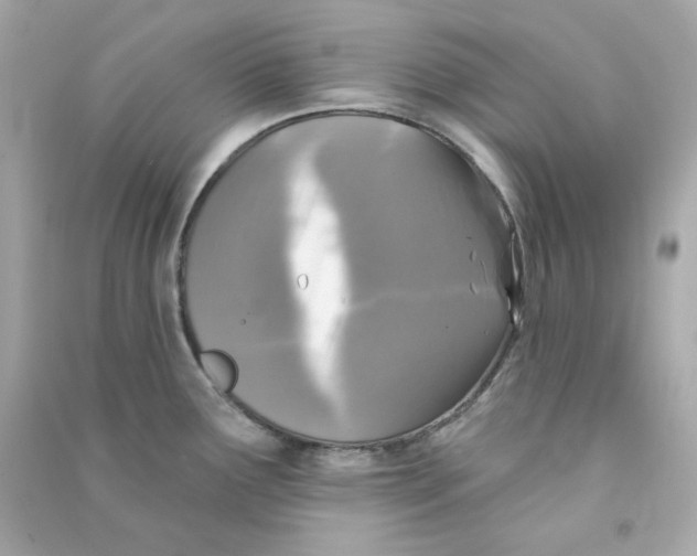 X0000090461291200708102103