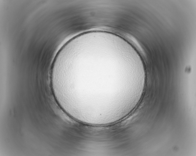 X0000090461292200708102103