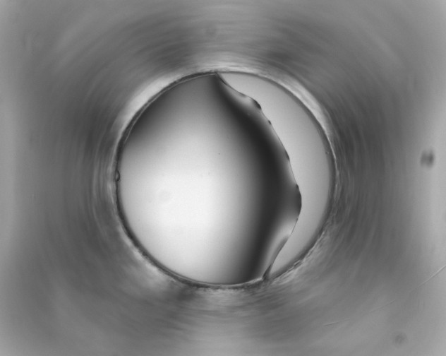 X0000090461293200708102103