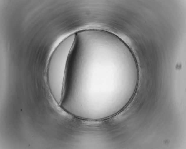 X0000090461296200708102103