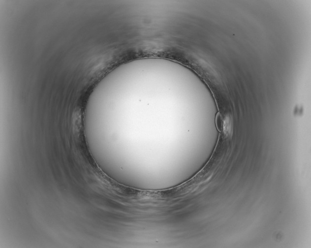 X0000090461299200708102102