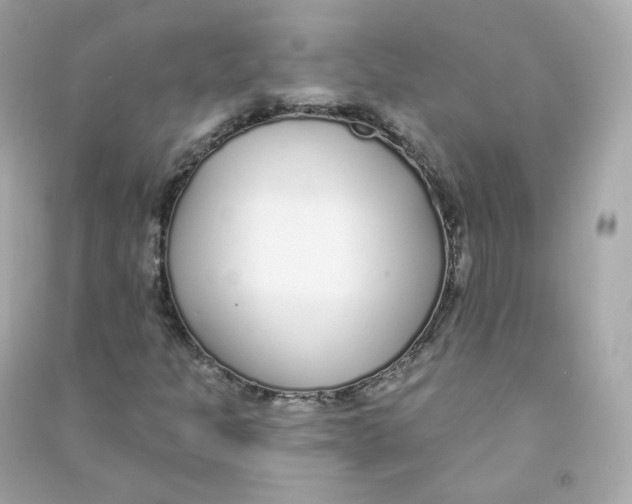 X0000090461301200708102102