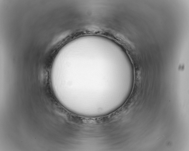 X0000090461302200708102102