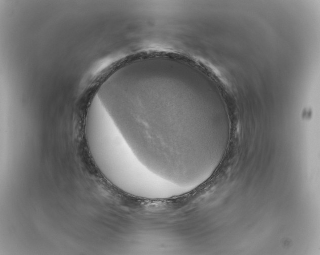 X0000090461303200708102102