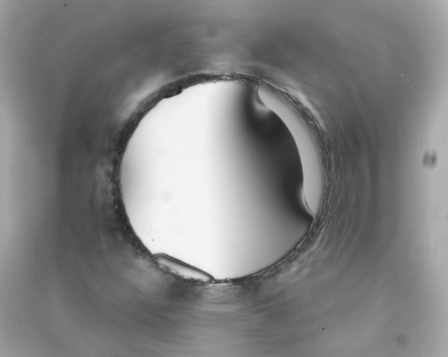X0000090461304200708102102