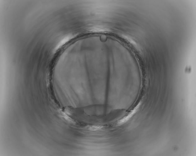 X0000090461306200708102102