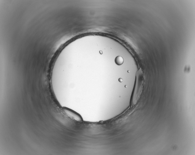 X0000090461308200708102102