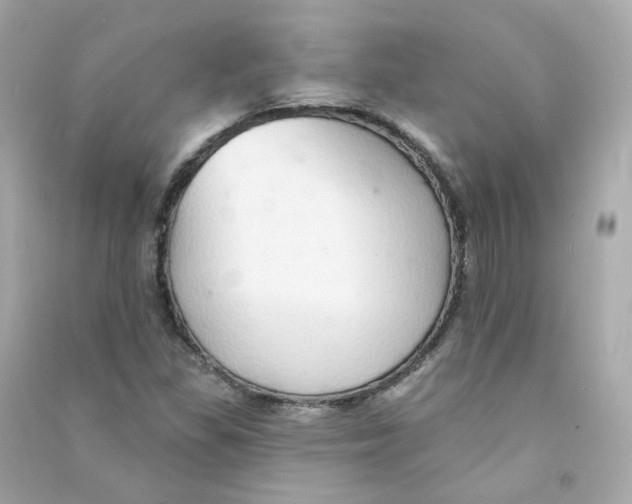 X0000090461309200708102102