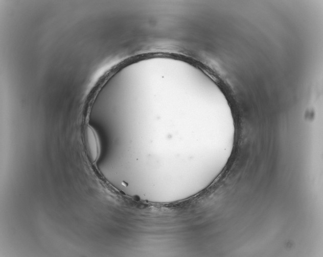 X0000090461312200708102102