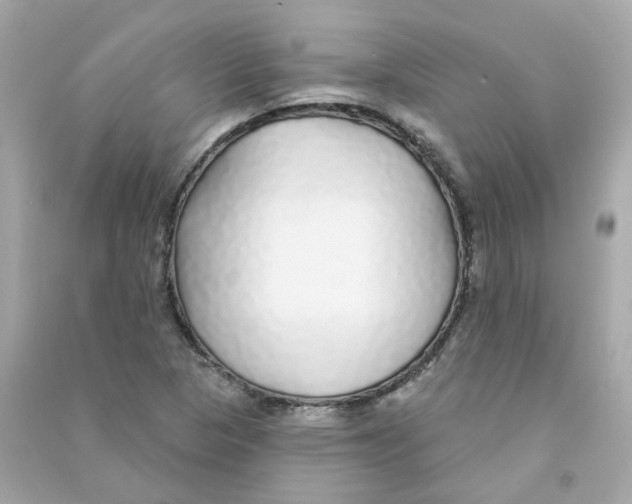 X0000090461313200708102102