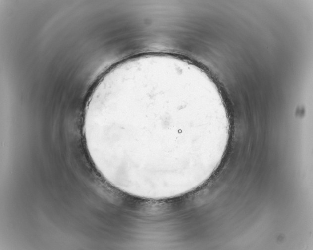 X0000090461314200708102103