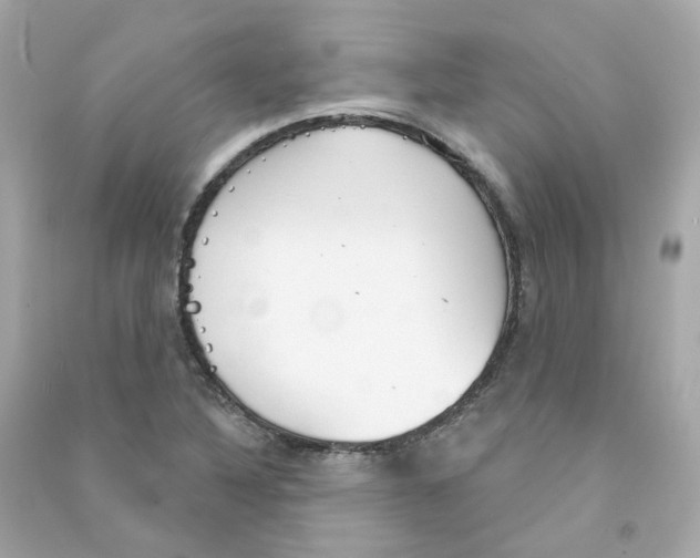 X0000090461316200708102103