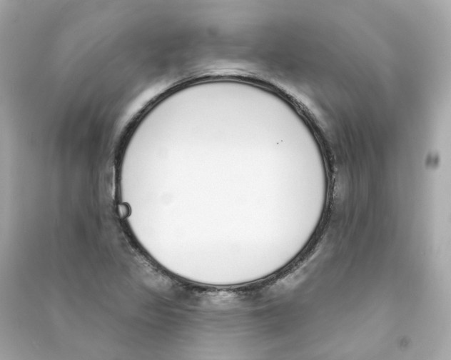 X0000090461317200708102103
