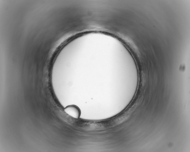 X0000090461318200708102103