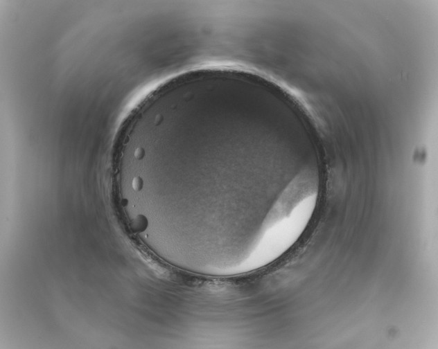 X0000090461319200708102103