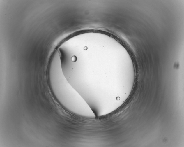 X0000090461320200708102103