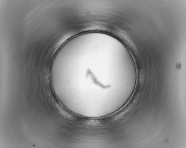 X0000090461321200708102103