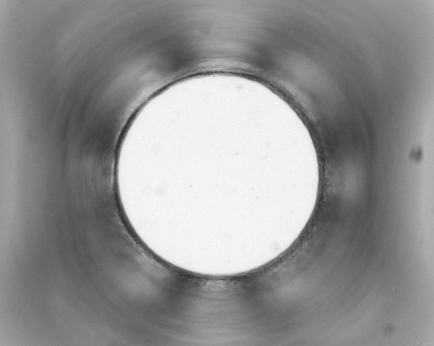 X0000090461322200708102103