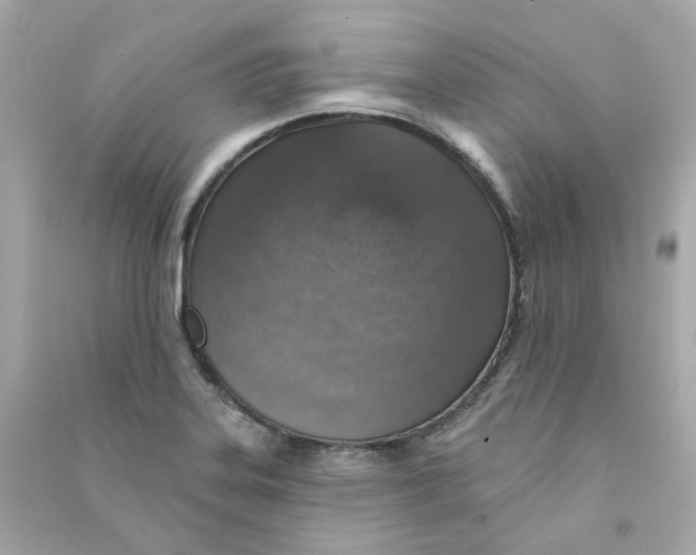 X0000090461323200708102103