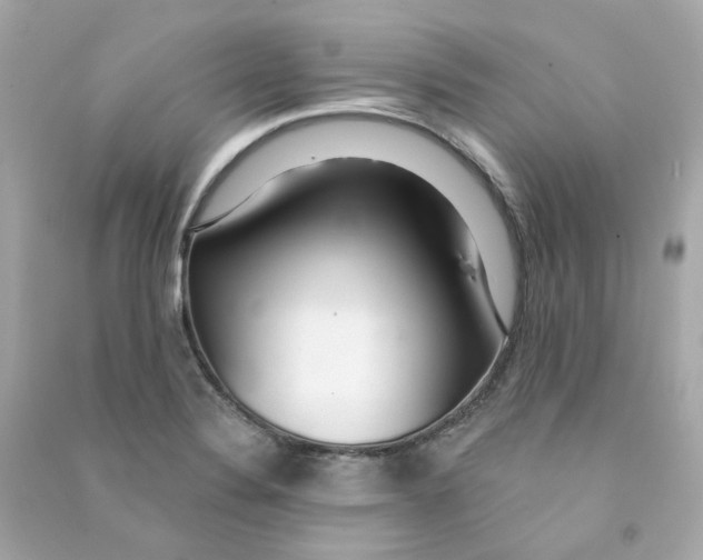 X0000090461324200708102103