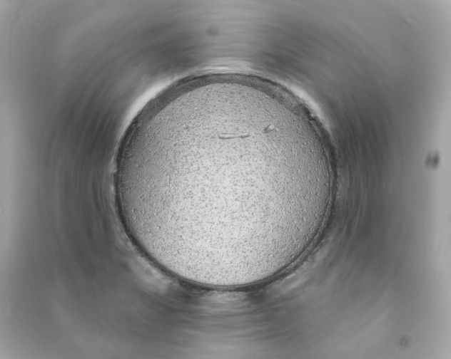 X0000090461325200708102103
