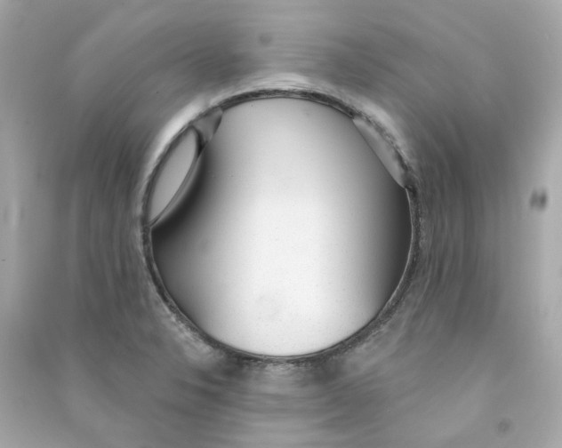 X0000090461326200708102103