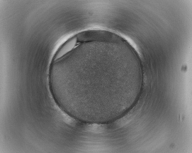 X0000090461327200708102103