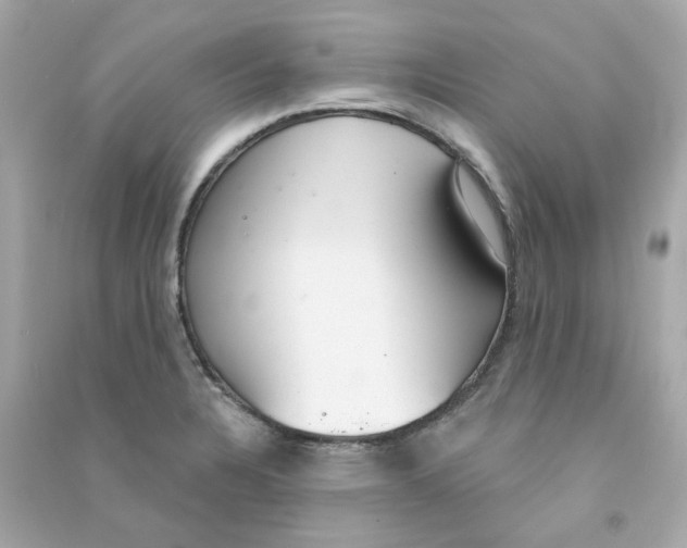 X0000090461328200708102103
