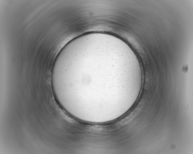 X0000090461329200708102103