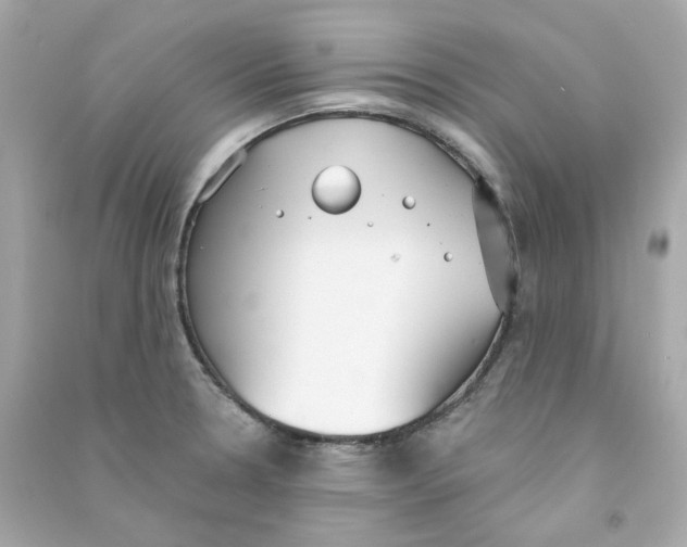 X0000090461330200708102103