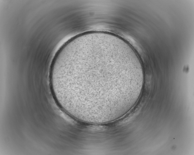 X0000090461331200708102103