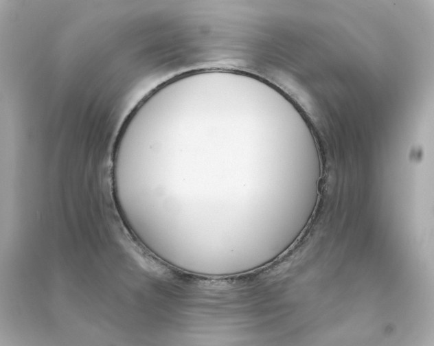 X0000090461332200708102103