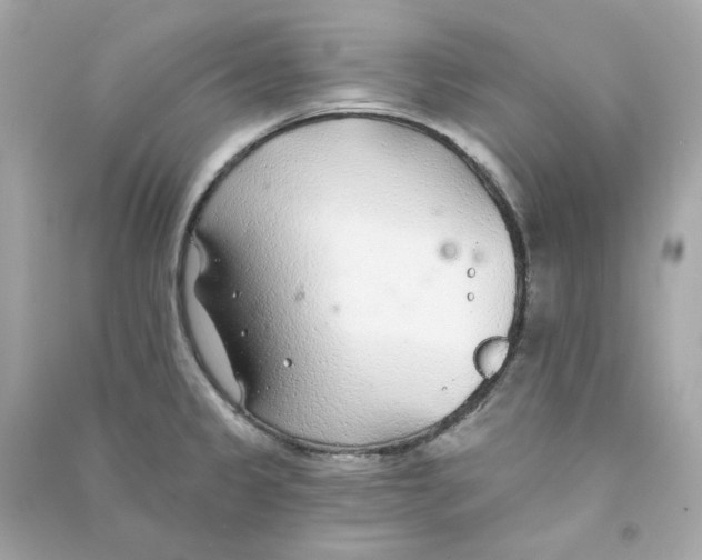 X0000090461333200708102103
