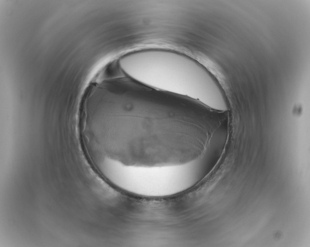 X0000090461334200708102103