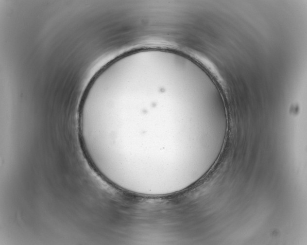 X0000090461335200708102103